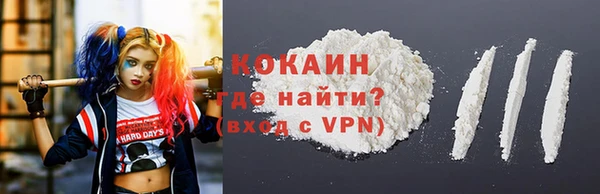амф Дмитриев