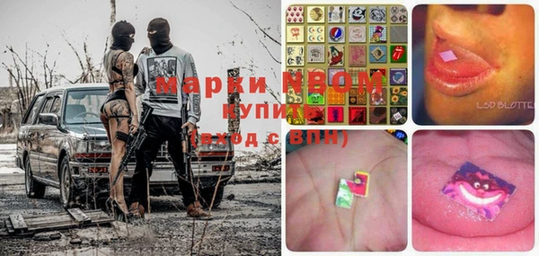 амф Дмитриев