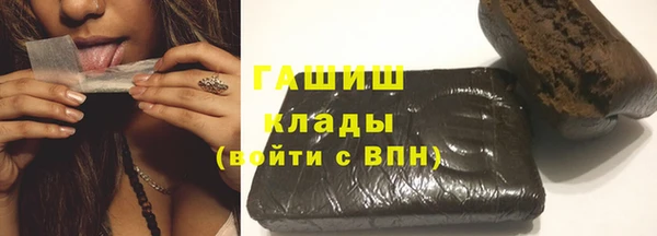 ешки Ельня