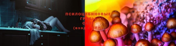 амф Дмитриев