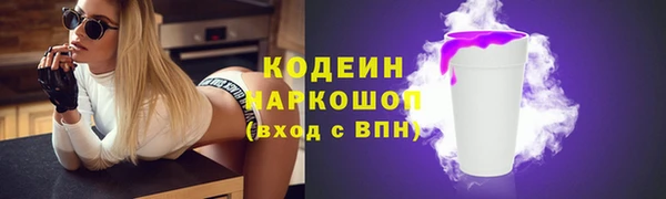 амф Дмитриев