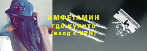 амф Дмитриев