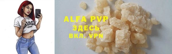 амф Дмитриев