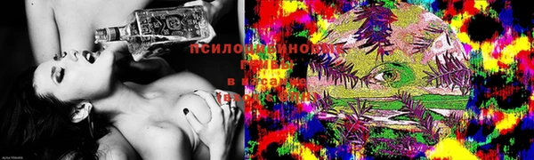прущая мука Дмитров