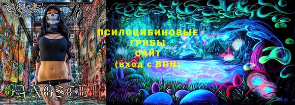 амф Дмитриев